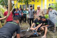 ASR bersama warga, saat kurban sapi (Foto: Istimewa)