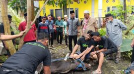 ASR bersama warga, saat kurban sapi (Foto: Istimewa)